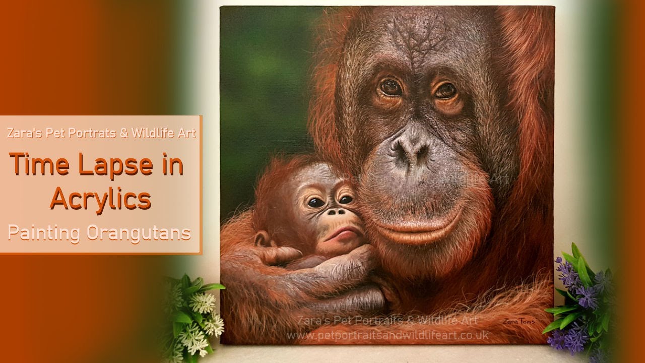 Orangutan Acrylic Painting Time Lapse Painting a Orangutan in