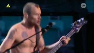 Red Hot Chili Peppers - Dani California - Live in Poland [HD]