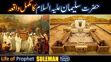 Hazrat Suleman (As) Ka Waqia | Prophet Suleman As life Story in Urdu | All Life Events In Detail