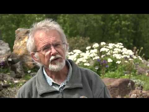 universitetet linköping Den mest sjeldne planten i botanisk hage