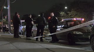 Man fatally shot in South Ozone Park, Queens
