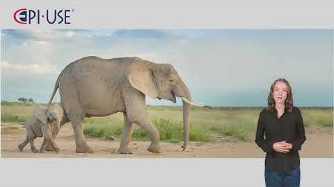 EPI-USE Organizational Data Replication Monitor