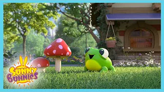 Sunny Bunnies - LEAP Frog! | Cartoons for Kids | WildBrain Wonder