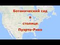 Ботанический сад в столице Пуэрто-Рико