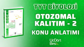 Otozomal Kalitim - 2 2022 Tyt Bi̇yoloji̇ 345 Yayinlari