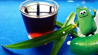 Cách làm SÂM BÍ ĐAO thanh mát giải khát rất đơn giản - Món Ăn Ngon