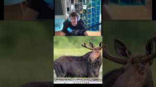 Stariy_bog:ЧТО ЗА ОСЕЛ #dota2 #lizok_ssk #дотамемы #дота #ez25 #stariy_bog #старыйбог #осел  #shorts