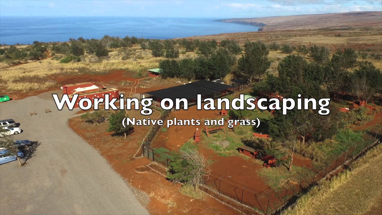 animal welfare act of 1998 tagalog Lanai Cat Sanctuary Expansion Project 2015