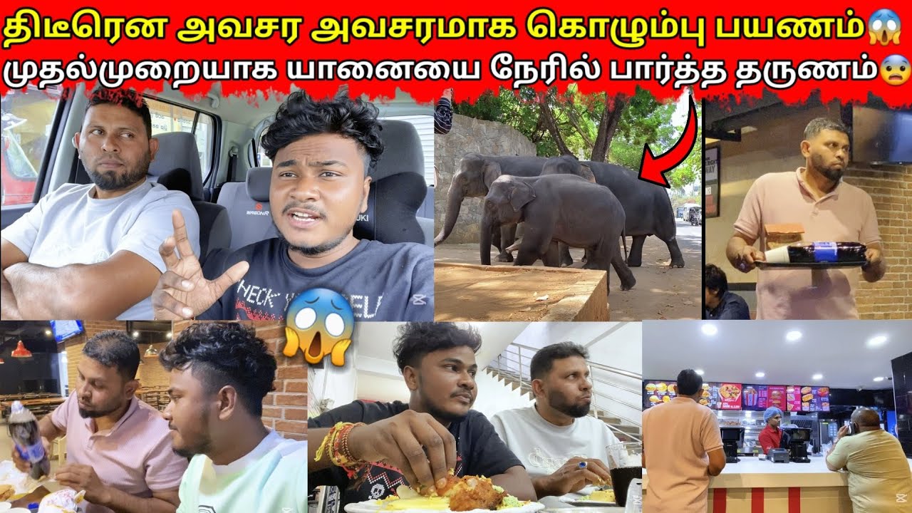 முதல்முறையாக யானையை பக்கத்தில் பார்த்த தருணம் 😨|jaffna|VKJT VLOG 