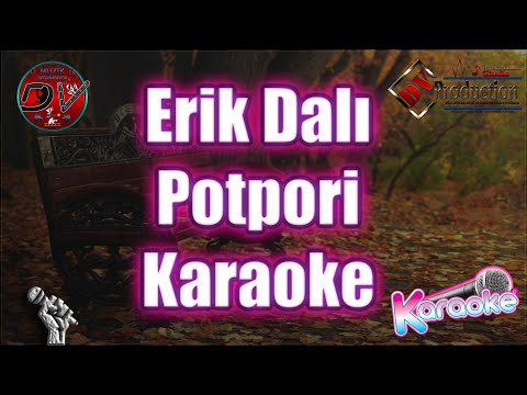 Erik Dalı Karaoke  Potpori  ORJİNAL   ( Erik Dalı - Zambara mı - Huriyem | Dv Müzik Prodüksiyon