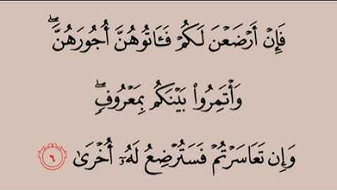 سورة الطلاق بصوت القارئ الشيخ محمد أيوب 🌹