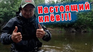 видео: РЕКА ЩЕДРО РАЗДАЁТ!!! В этом месте их собралось не реально много! ГОЛАВЛЬ СНОВА ЖРЁТ!!! картинка: РЕКА ЩЕДРО РАЗДАЁТ!!! В этом месте их собралось не реально много! ГОЛАВЛЬ СНОВА ЖРЁТ!!!