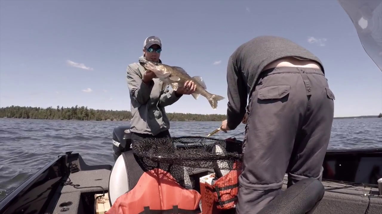 HUGE WALLEYE caught MUSKY fishing on Eagle Lake, Ontario Canada YouTube