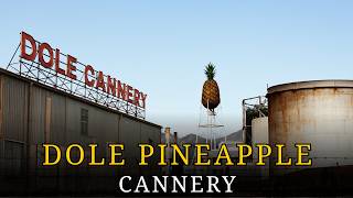 Download lagu Inside the Dole Cannery: How America Lost Its Pineapple Empire