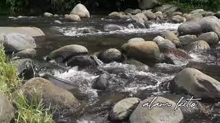 suara aliran sungai yang damai