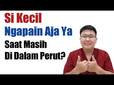 Video: Adakah Mungkin Anak Tidur Di Perutnya