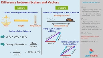 Motion in a Plane Class 11 Physics Chapter 4 - Scalars and Vectors