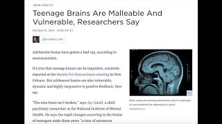 Teenage Brains are Malleable and Vulnerable, Researchers Say