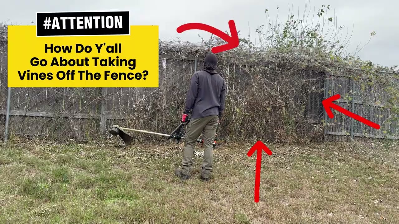 Регулярное обновление газона для милого домовладельца | Братья Кази вносят свой вклад