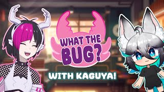 【What the Bug?!】Chatting with Kaguya Fae!【Cyber Bug VTuber】