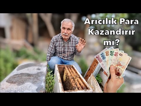 Arıcılık Para Kazandırır mı ? Merdan Usta Anlatıyor