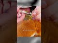Реакция дикой белки на её спасение #shorts #animals #добро #forest