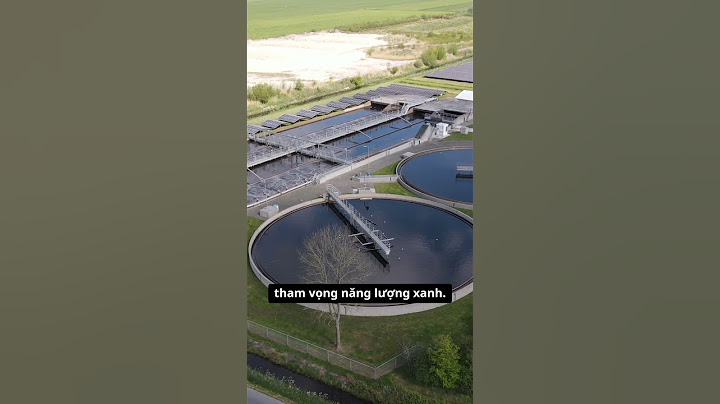 🛢️ SỰ THẬT VỀ DẦU ĐẬU TƯƠNG, DẦU ĂN HAY… VŨ KHÍ CHIẾN LƯỢC