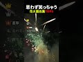 花火面白集 #衝撃 #面白集 #花火