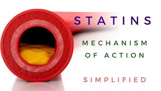 Statins Mechanism Of Action *Animated*