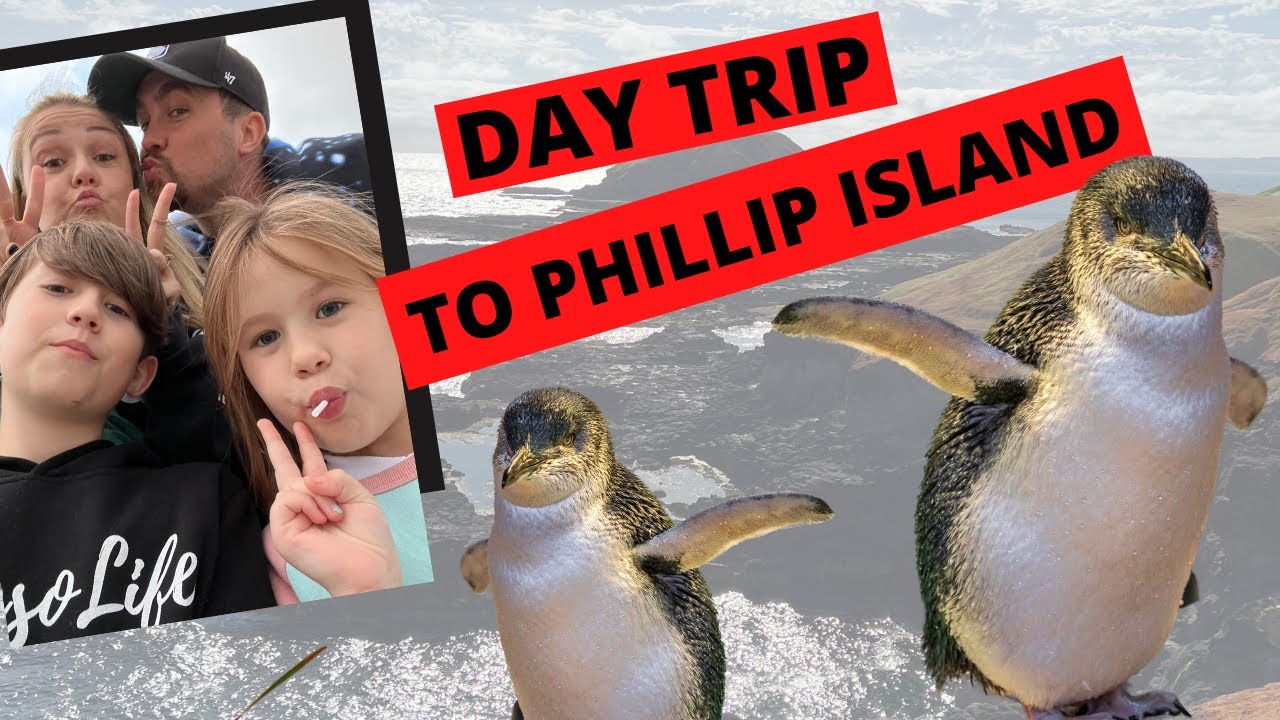 DAY TRIP TO PHILLIP ISLAND Penguin Parade, cost, tips and tricks YouTube