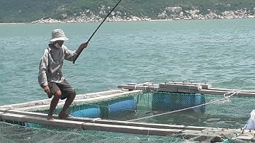 Hôm nay câu cá dò bằng rườn tỏi số 2  và cám 1 ly cực kỳ nhạy :( tập 87)