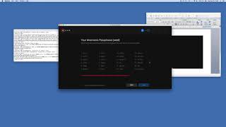 Create A Wallet (Testnet V0.2) screenshot 4