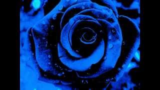 Starlit ~ God Complex