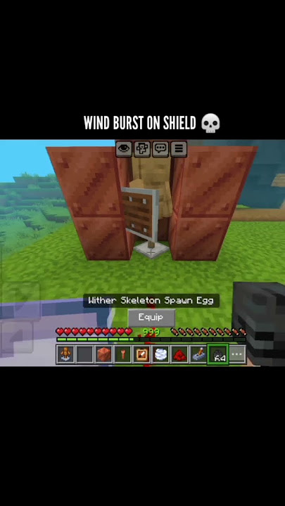 minecraft breeza shield 💀💀 #minecraft #shorts #gaming