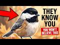“Why Birds Know Who You Are”