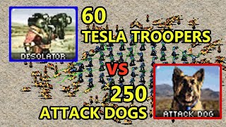 60 Desolators vs 250 Dogs [Same Cost] - Red Alert 2