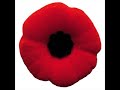 A Blue Baron Remembrance Day Announcement