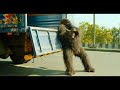 Hello charlie  gorilla truck pushing scene  comedy scene   hellocharile comedy comedyscene