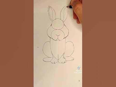 trik kako nacrtati brzo zeca🐇🐰 - YouTube