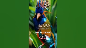 تلاوة خاشعة عطرة مباركة جميلة عذبة للشيخ ماهر المعيقلي ماتيسر من سورة الأعلى