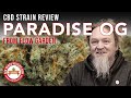 Paradise OG - CBD Strain Review – Flow Gardens