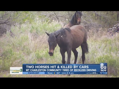 mt charleston accident today