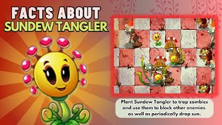 facts about sundew tangler from pvz2