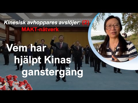 Video: Kinesiska Astronomer Har Registrerat Kosmiska Signaler Av Okänt Ursprung - Alternativ Vy