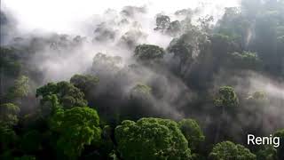 Garden Of Eden - Renig