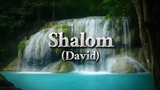 Shalom - Lyrics (DAVID) #lyricvideo #shalom #fyp  