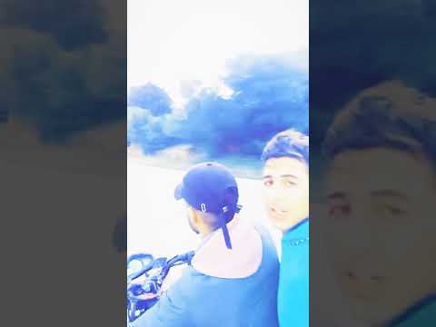 شفتا طلع ليا مورال أشقار