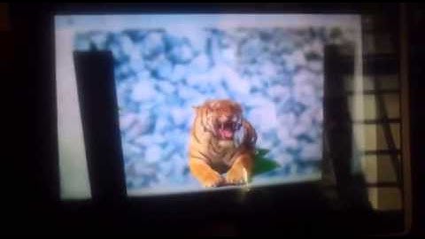 Augmentastic || transparent video demo test