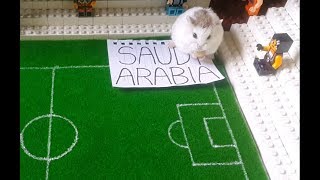 FIFA World Cup 2018 Prediction by Hamster - RUSSIA VS SAUDI ARABIA | HamHolic screenshot 5
