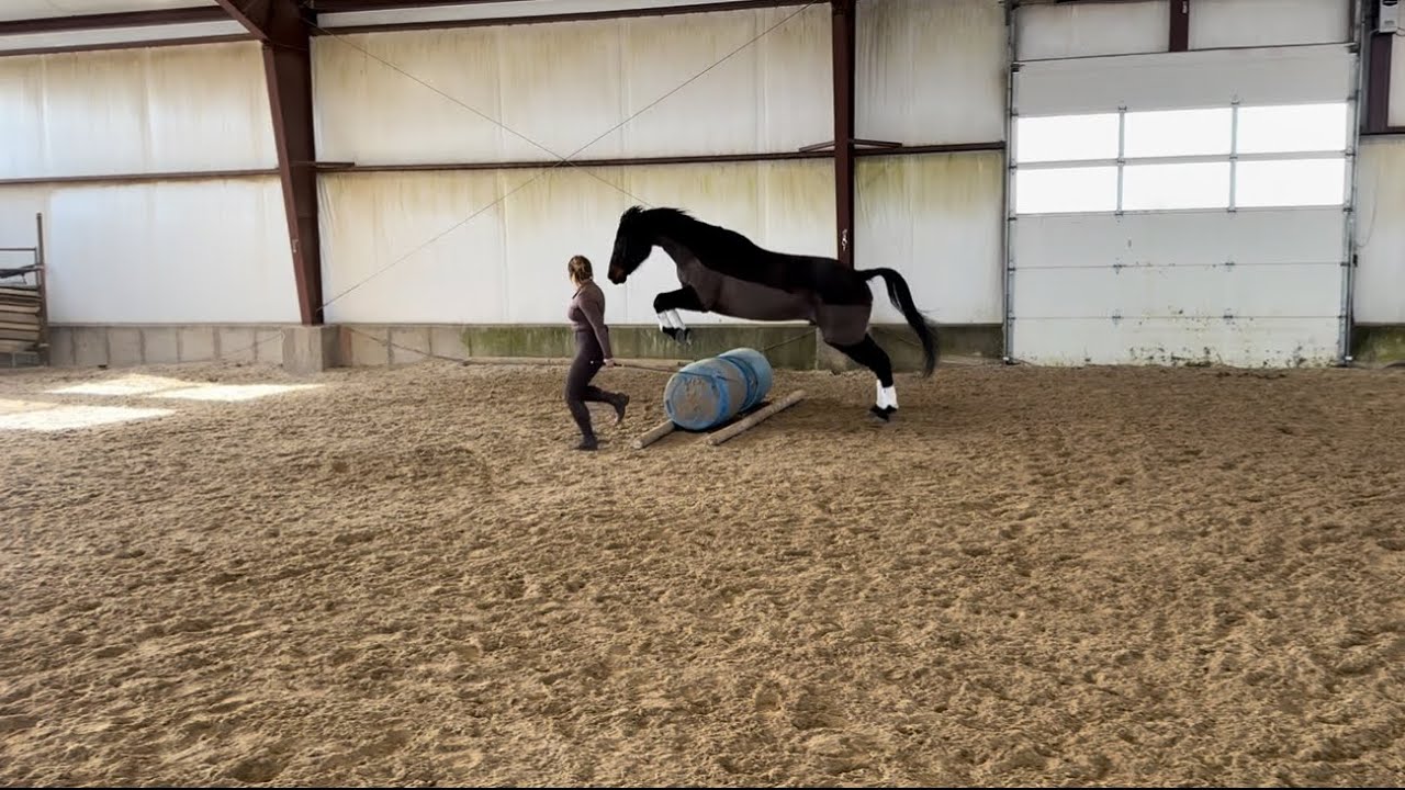 RRP 2026 Liberty/Freestyle/Trick Training 